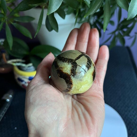 Septarian Crystal Sphere with UV‎ Reaction (1) - Picture 2 of 14